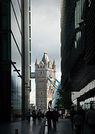Image of the Tower Bridge taken through Potters Field Park.