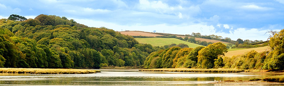A Cornish Estuary just above St Germans.