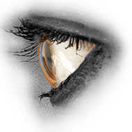 Close up eye